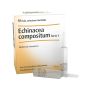 Heel Echinacea Composta S Forte - Confezione da 10 Fiale