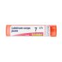 Boiron Luteinum Corps Jaune 07Ch - Granuli Omeopatici 4g