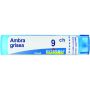 Granuli Boiron Ambra Grisea 09Ch in Tubo da 4g