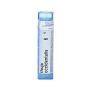 Cemon Thuya Occidentalis 6CH - Granuli Omeopatici Multidose 6g
