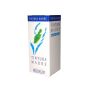Betula Alba Tintura Madre 60ml