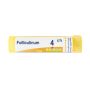 Boiron Folliculinum 04Ch - Tubo da 4g di Granuli Omeopatici