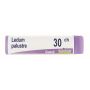 Boiron Ledum Palustre 30Ch Globuli - Confezione da 1g