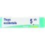 Boiron Thuya Occidentalis 05Ch - Globuli Omeopatici da 1g