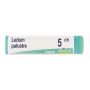 Boiron Ledum Palustre 05Ch Globuli Omeopatici, Dose da 1g