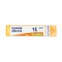 Boiron Candida Albicans 15Ch Granules - Tubo da 4g