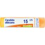 Boiron Candida Albicans 15Ch Granules - Tubo da 4g