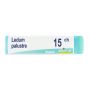 Boiron Ledum Palustre 15Ch - Globuli Omeopatici, Dose da 1g