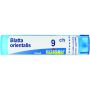 Boiron Blatta Orientalis 09Ch - Granuli Omeopatici 4g