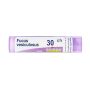 Boiron Fucus Vesiculosus 30Ch - Granuli Omeopatici, Tubo da 4g