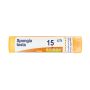 Boiron Spongia Tosta 15Ch - Granuli Homeopatici 4g