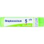 Granuli di Streptococcinum Boiron 05Ch in Tubo da 4g