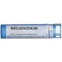 Boiron Influenzinum 09CH - Granuli Omeopatici per Influenza, Tubo da 4g