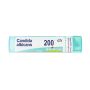 Boiron Candida Albicans 200Ch - Granuli Omeopatici 4g