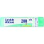 Boiron Candida Albicans 200Ch - Granuli Omeopatici 4g