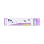Boiron Olea Europaea 30Ch - Granuli Omeopatici, Tubo da 4g