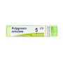 Boiron Polygonum Aviculare 05Ch - Granuli Omeopatici 4g