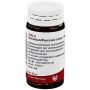 Wala Cichorium 20g - Globuli per il Pancreas