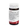 WALA Lycopodium 20g Compresse