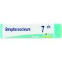 Boiron Streptococcinum 07Ch Globuli Omeopatici - 1g