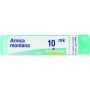 Boiron Arnica Montana 10MK - Granuli Omeopatici 4g