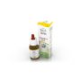 Guna Chestnut Bud - Gocce Essenziali 10ml