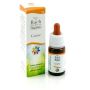 Guna Gorse Drops 10ml - Integratore Omeopatico in Gocce