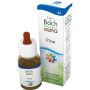 Guna Pine 10ml Gocce per Benessere Naturale