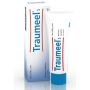 Crema Traumeel S 50g