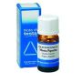 Olio Essenziale di Menta Piperita Pura - 10ml