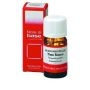 Olio Essenziale di Timo Bianco Puro - 10ml