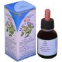 Estratto di Rubus Idaeus MSA 50ml