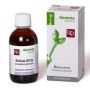 Estratto Glicerico di Eucalipto 50ml