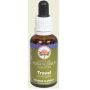 Essenza Floreale Australiana per Viaggi - Gocce 30ml