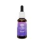 Essenza Floreale Australiana per Viaggi - Gocce 30ml