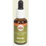 Australian Bush Flower Essence for Energy and Vitality - 30ml