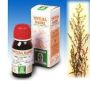 Specchiasol Verga Oro Soluzione Idroalcolica, 50ml