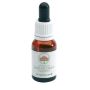 Angelsword Elixir Gocce - Flacone da 15ml