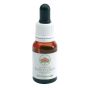 Gocce di Bottlebrush da 15ml