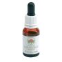 Gocce di Fuchsia Bush da 15ml