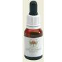 Australian Wild Force Dog Rose Extract, 15ml