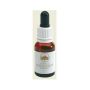 Olio Essenziale Australian Red Suva Frangipani 15ml