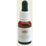 Olio Essenziale di Waratah Australiano Puro - 15ml