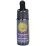 Dandelion Essence 7.4ml - California Flower Essences