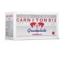 Carniton B 12 - Integratore Sportivo Granulato per Equini - 20 Buste da 25g