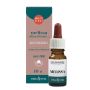 Olio Essenziale di Melissa 10ml - Erba Vita