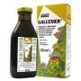 Salus Gallexier Digestive Herbal Tonic 250ml