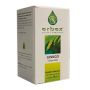 Ginkgo Biloba Premium 380mg - Confezione da 100 Capsule