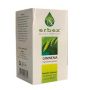 Gymnema Sylvestre 430mg 100 Capsule