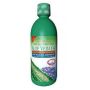 ESI Aloe Vera e Succo di Mirtillo - Integratore Bevibile 1000ml